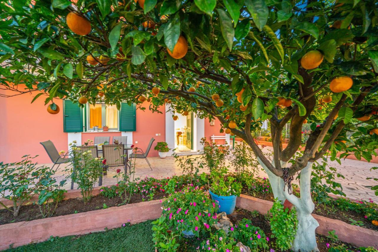 Artemis Superb 2 Bedroom Apartment 700 M Away From The Beach Minia Екстериор снимка