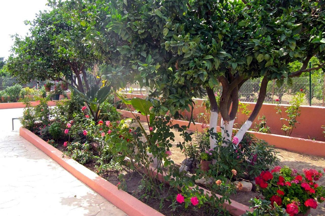 Artemis Superb 2 Bedroom Apartment 700 M Away From The Beach Minia Екстериор снимка